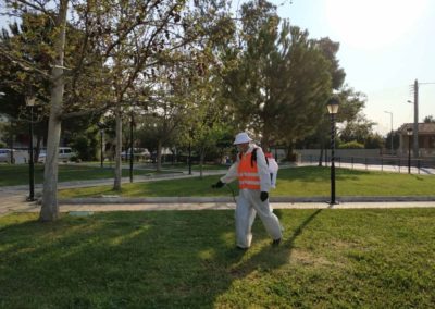 Ξεκίνησε το Πρόγραμμα Καταπολέμησης Κουνουπιών