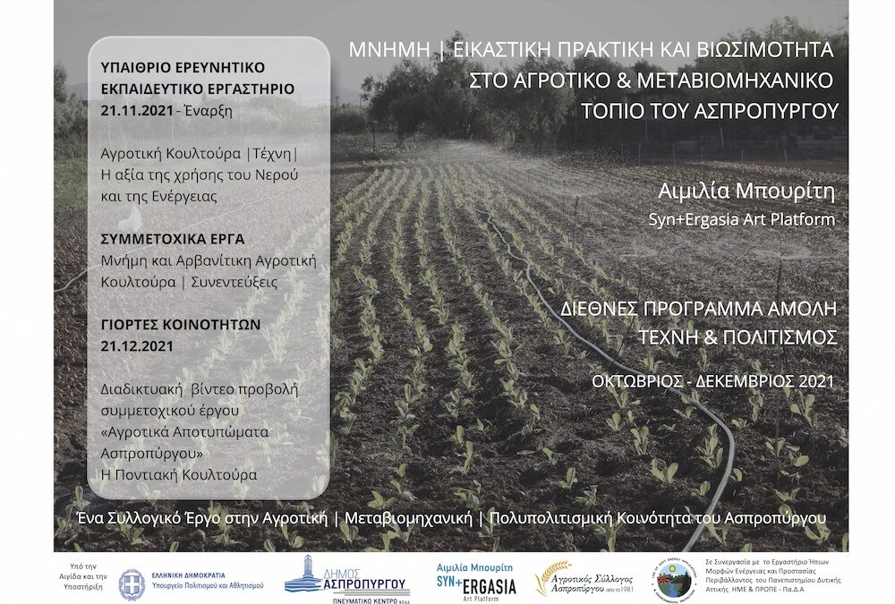 Διεθνές Πρόγραμμα Αμολή, Τέχνη & Πολιτισμός: Επίλογος