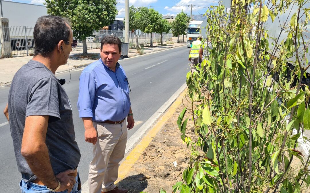 Εκτεταμένες δενδροφυτεύσεις στο πλαίσιο των περιβαλλοντικών δράσεων του Δήμου Ασπροπύργου