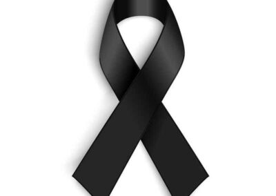 Εις Μνήμην του νεαρού πυγμάχου πρωταθλητή, Βασίλη Τόπαλου