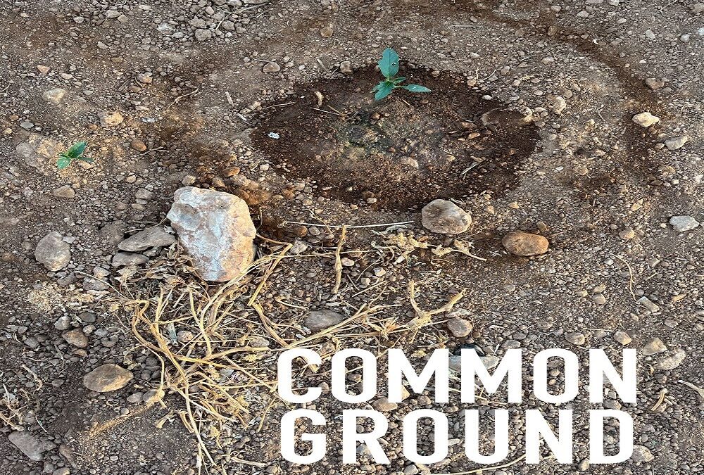 «Κοινό Έδαφος (Common Ground)» Διεθνής Εικαστική Έκθεση στον Ασπρόπυργο. Χώρος Έκθεσης Ρολόι ΤΕΤΑΡΤΗ 10 ΙΟΥΛΙΟΥ 2024, στις 20.00