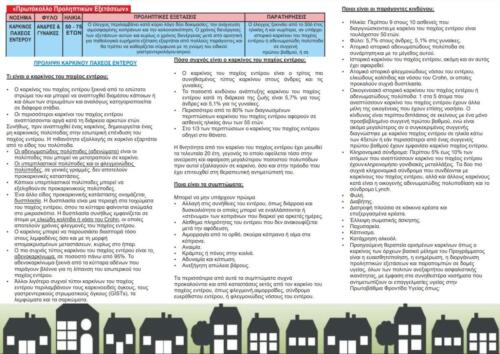 FLYER2