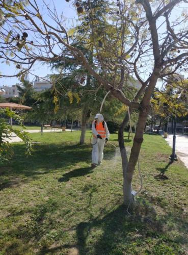 Ξεκίνησε το Πρόγραμμα Καταπολέμησης Κουνουπιών