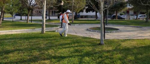 Ξεκίνησε το Πρόγραμμα Καταπολέμησης Κουνουπιών