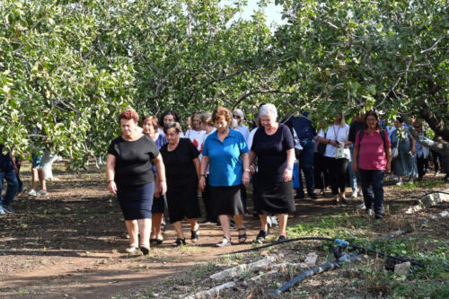 Η περιπατητική διαδρομή στο αγρόκτημα της Αναστασίας Καλλέργη