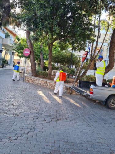 ΨΕΚΑΣΜΟΣ ΓΙΑ ΤΑ ΚΟΥΝΟΥΠΙΑ 1a