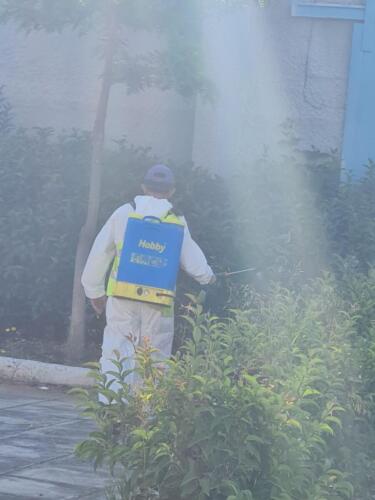 ΨΕΚΑΣΜΟΣ ΓΙΑ ΤΑ ΚΟΥΝΟΥΠΙΑ 2