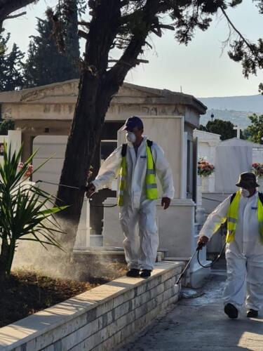 ΨΕΚΑΣΜΟΣ ΓΙΑ ΤΑ ΚΟΥΝΟΥΠΙΑ  .